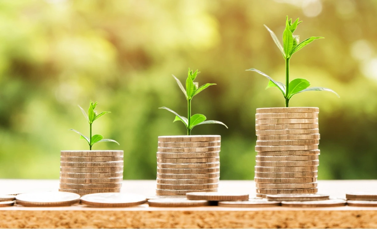 Non Bank Deposit Taker